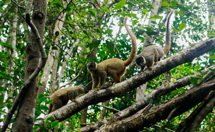 Madagascar Extreme South 10 Day Tour