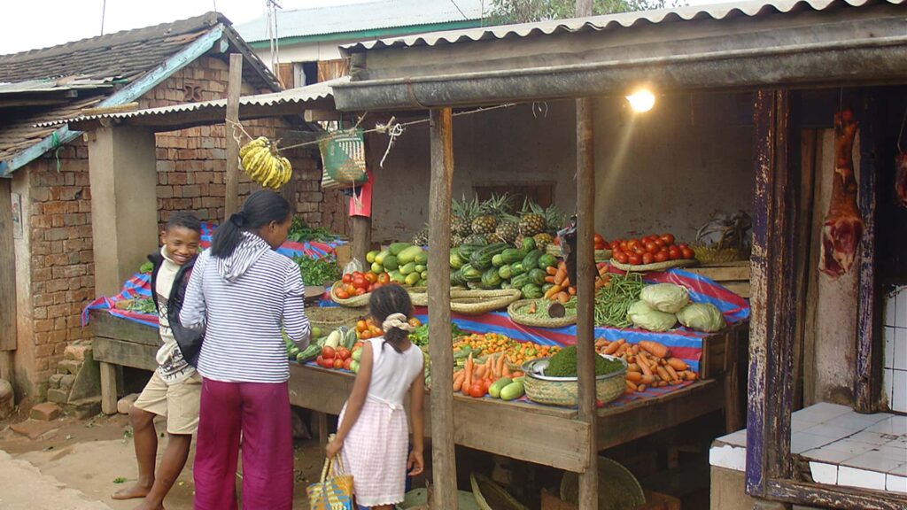 Markets in Antananarivo Madagascar | Visit with TravPact Madagascar