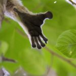 Off the beaten track 21 Day Tour