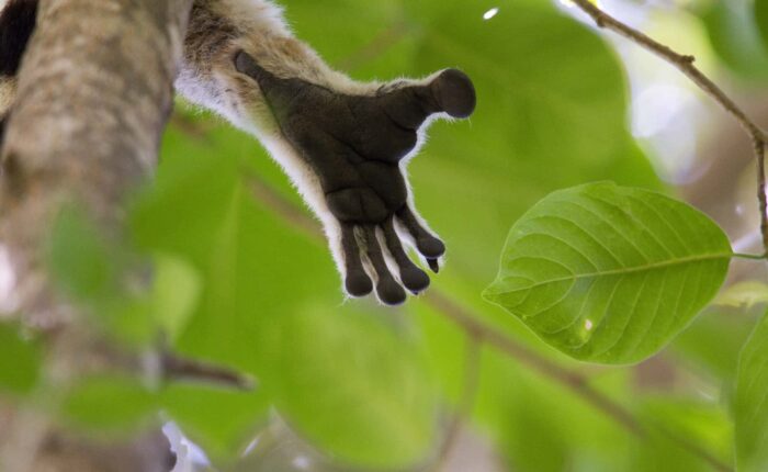 Off the beaten track 21 Day Tour