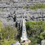 Diversity of the North – 100% Nature Tour