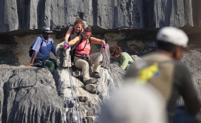 7 Parks of Madagascar 21 Day Tour