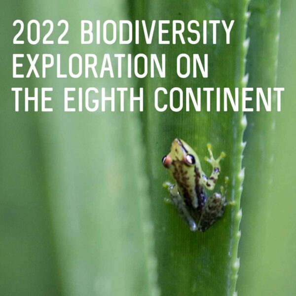 2022-Biodiversity-exploration-on-the-Eighth-Continent 2022-Biodiversity-exploration-on-the-Eighth-Continent